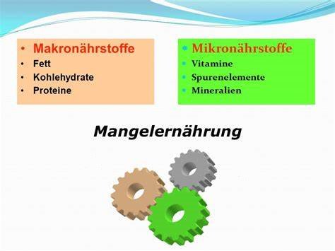 orthomolekulare_medizin.jpg 